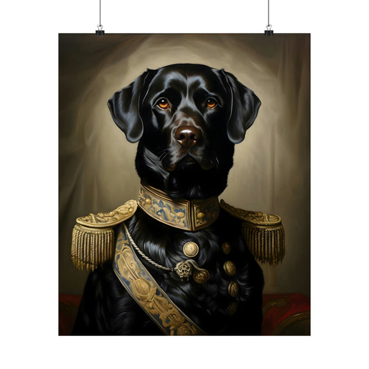 Aristocratic Black Labrador Retriever Poster